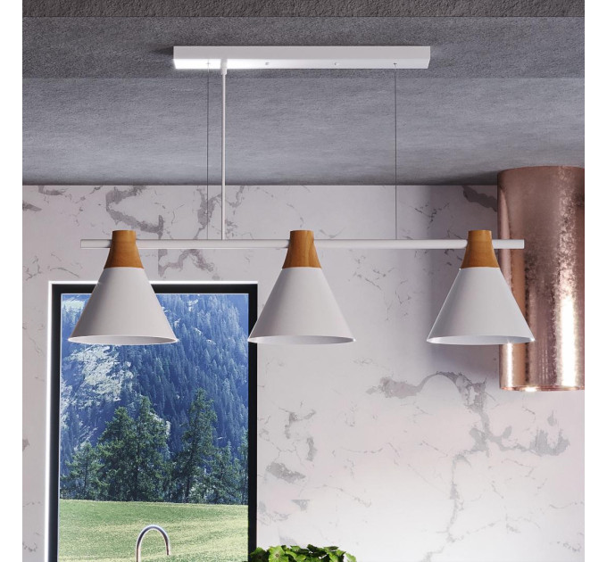 Світильник HOPFEN LOFT CN 3 WH (E27, max 3 x 40W)