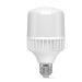 LED лампа VIDEX A80 30W E27 5000K VL-A80-30275 - 292861