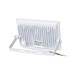 Прожектор світлодіодний MAGNUM FL12 ECO LED 50Вт slim біл. 6500К IP65