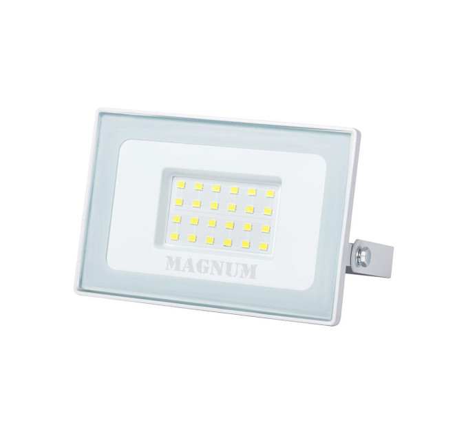 Прожектор світлодіодний MAGNUM FL12 ECO LED 30Вт slim біл. 6500К IP65