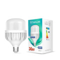 LED лампа TITANUM A100 30W E27 6500К TL-HA100-30276 - 480598