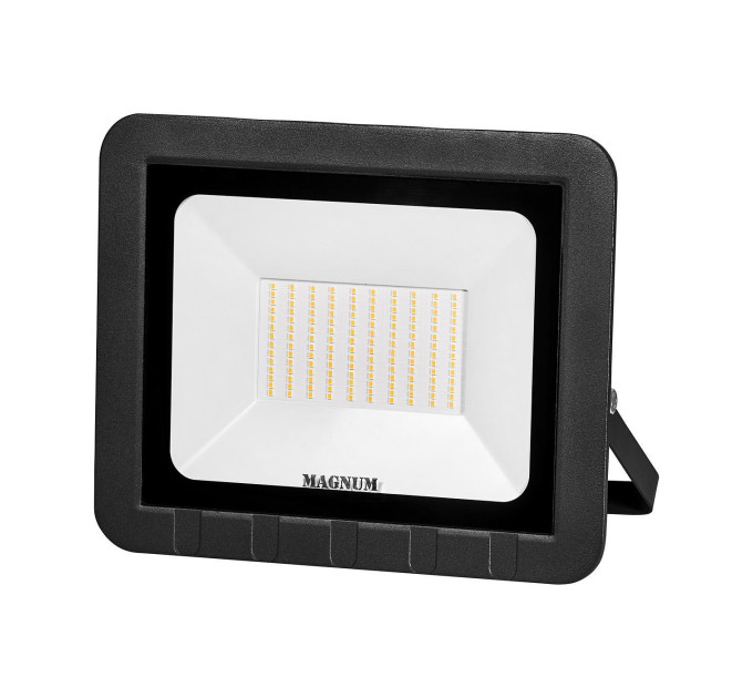 Прожектор світлодіодний MAGNUM FL ECO LED 100Вт slim 6500К IP65