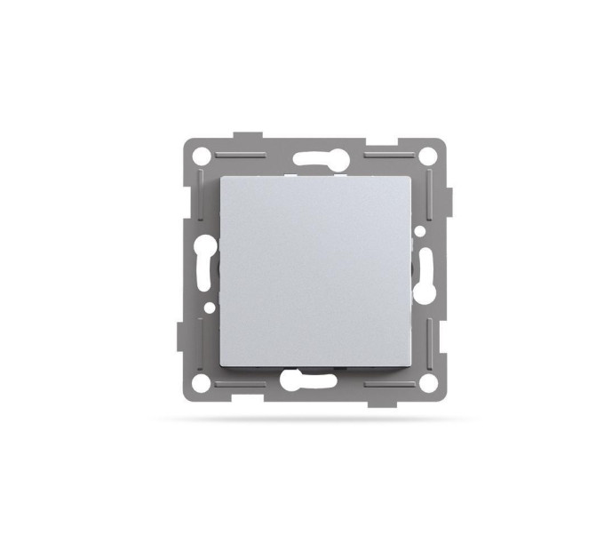 Заглушка для рамки срібний шовк VIDEX BINERA VF-BNC-SS - 482523