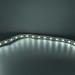Світлодіодна стрічка LED LIGHT 12V 14.4W 6000K 60LED IP21 ( MTK-300W5050-12 )