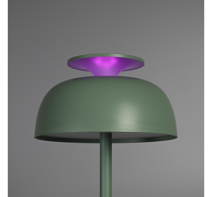 LED лампа настiльна з акумулятором VIDEX VL-TF23G 8.5W 4000K+RGB Green VL-TF23G - 400219