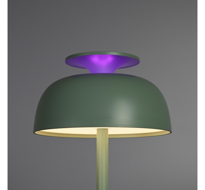 LED лампа настiльна з акумулятором VIDEX VL-TF23G 8.5W 4000K+RGB Green VL-TF23G - 400219
