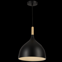 Світильник HOPFEN LOFT TN 1 PD L BK (E27, max 40W)