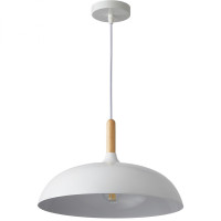 Світильник HOPFEN LOFT TNW 1 PD WH (E27, max 40W)
