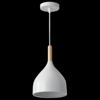 Світильник HOPFEN LOFT TN 1 PD WH (E27, max 40W)