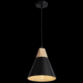 Світильник HOPFEN LOFT CN PD 1 BK (E27, max 40W)