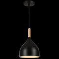 Світильник HOPFEN LOFT TN 1 PD BK (E27, max 40W)