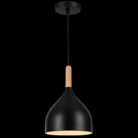 Світильник HOPFEN LOFT TN 1 PD BK (E27, max 40W)