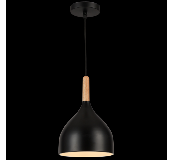 Світильник HOPFEN LOFT TN 1 PD BK (E27, max 40W)