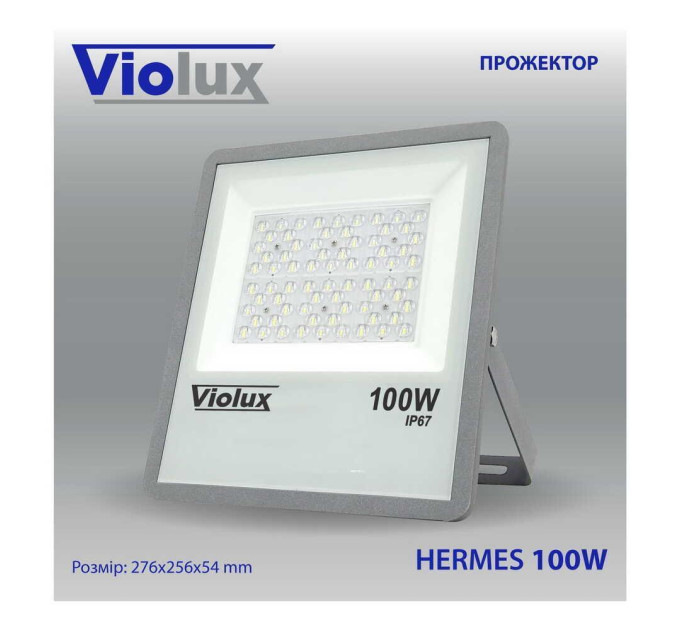 Прожектор LED Violux HERMES 100W SMD 6000K 10000lm IP67 ( 410102 )