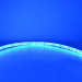 Світлодіодна стрічка LED LIGHT 12V 9.6W синя 120LED IP65 ( MTK-600BF3528-12 )