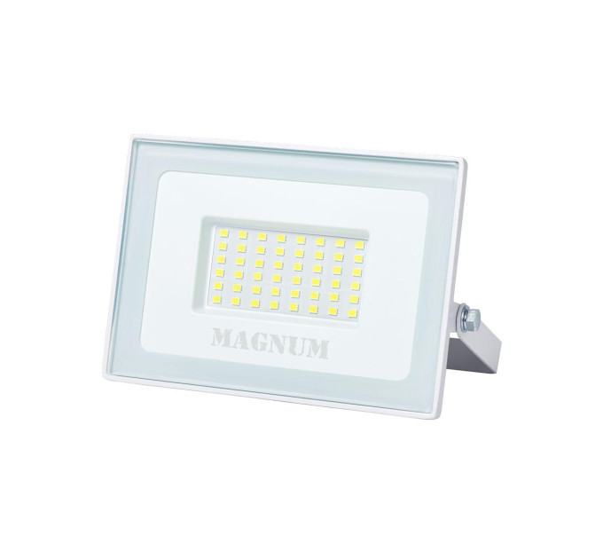 Прожектор світлодіодний MAGNUM FL12 ECO LED 50Вт slim біл. 6500К IP65
