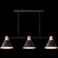 Світильник HOPFEN LOFT CN 3 BK (E27, max 3 x 40W)