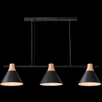 Світильник HOPFEN LOFT CN 3 BK (E27, max 3 x 40W)