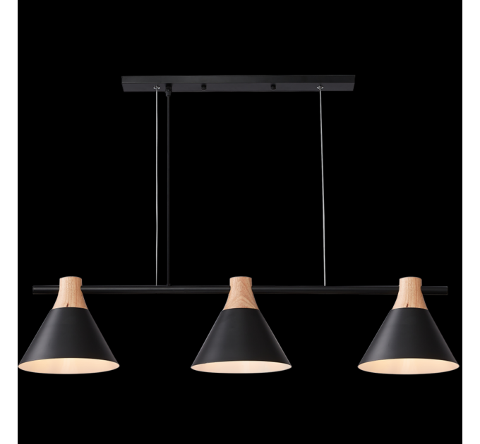 Світильник HOPFEN LOFT CN 3 BK (E27, max 3 x 40W)