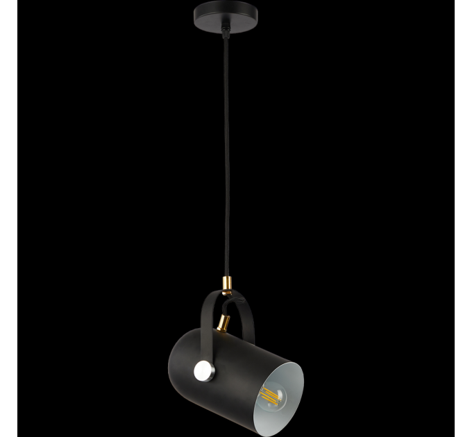 Світильник HOPFEN LOFT HALTBAR PD BK (E27, max 40W)