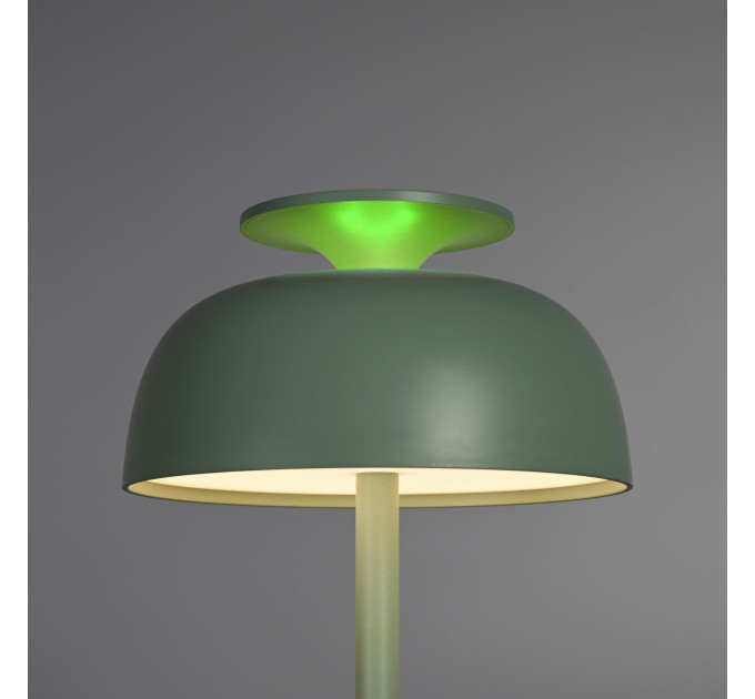 LED лампа настiльна з акумулятором VIDEX VL-TF24G 8W 4000K+RGB Green VL-TF24G - 400233