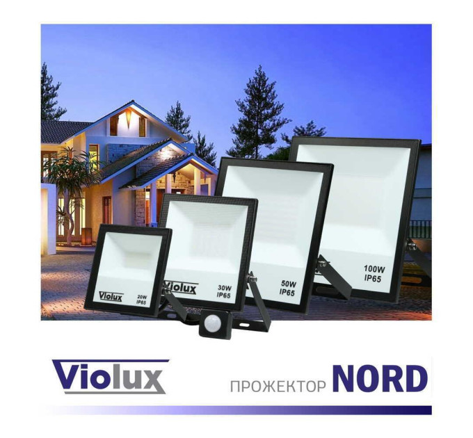 Прожектор LED Violux NORD 100W SMD 6000K 9500lm IP65 ( 400042 )