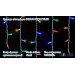 гірлянда зовн DELUX ICICLE 75LED 2x0.7m 18flash мул/біл IP44 - (90012956)