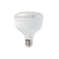 Світлодіодна лампа CRYSTAL-30 30W E27 6400K HOROZ ELECTRIC 001-016-1030-010