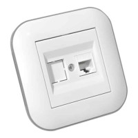 Розетка комп’ютерна (CAT6) LOFT білий+сірий OVIVO 404-010303-229