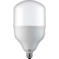 Світлодіодна лампа TORCH-50 50W E27 6400К HOROZ ELECTRIC 001-016-0050-013