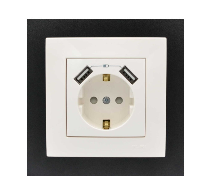 Розетка ZENA ELBI біла 1-на з заземленням + 2USB без рамки ( 609-010200-317 )