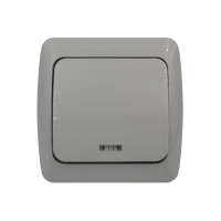 Вимикач EVA сірий 1кл з підсвіткою IP54 ( 554-011500-201 )
